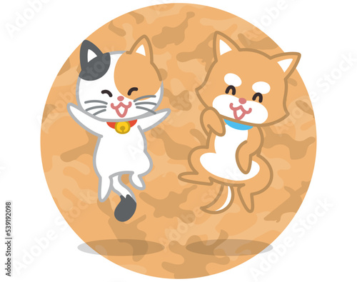 子犬と子猫がジャンプしている