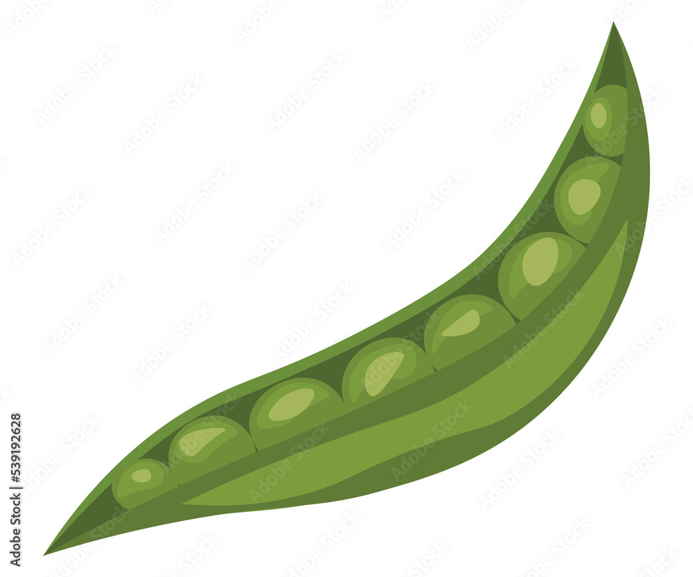 fresh green peas fresh green peas