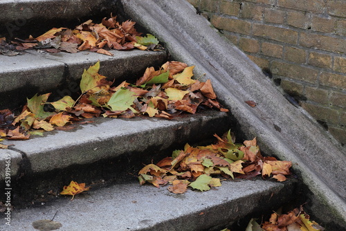 Fototapeta Naklejka Na Ścianę i Meble -  Autumnal Leaves on Stone Steps in Amsterdam, Netherlands