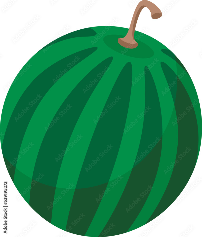 Hand drawn watermelon Food icon. Vector illustration Hand drawn watermelon Food icon. Vector illustration