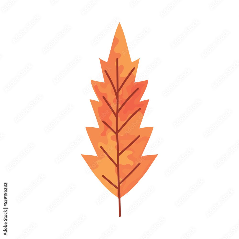 Fototapeta premium autumn leaf icon