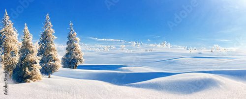 winter christmas scenic landscape with copy space
