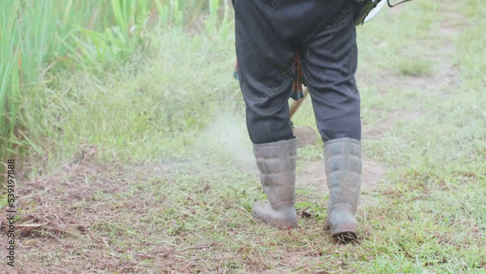 A farmer or gardener uses a walk-behind lawn mower. To clean the gardens and fields by mowing the weeds that grow along the paths. A farmer or gardener uses a walk-behind lawn mower. To clean the gardens and fields by mowing the weeds that grow along the paths.