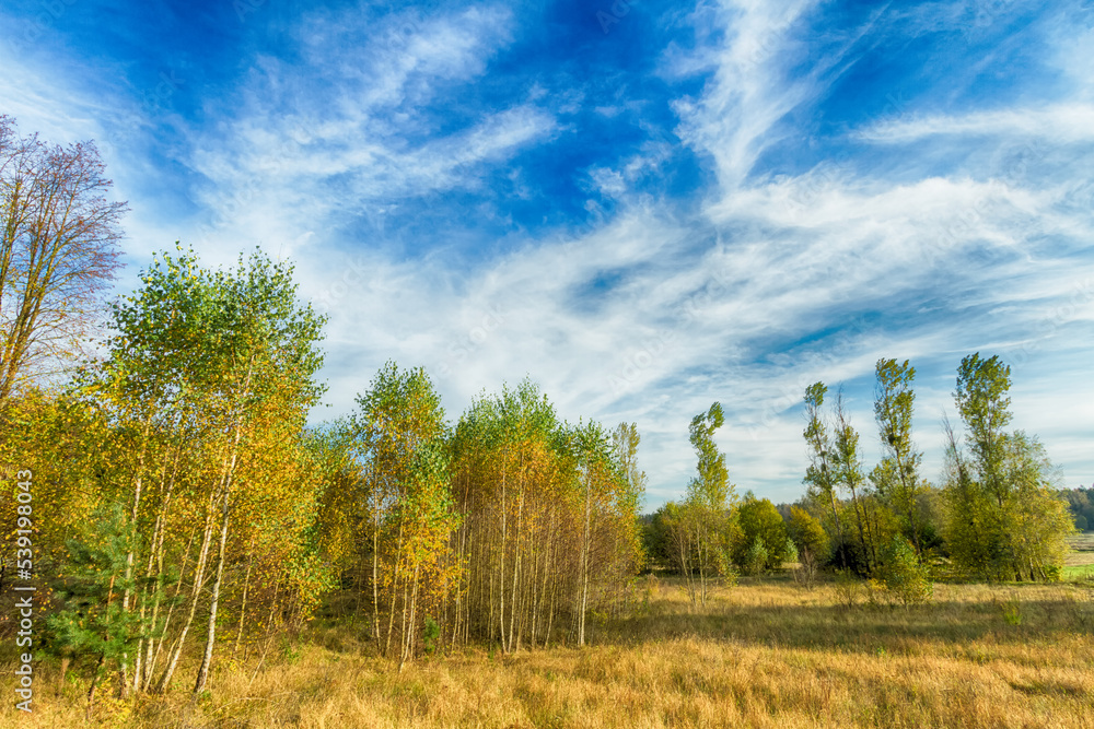 Landscape autumn road with colourful trees, autumn Poland, Europe and amazing blue sky with clouds, sunny day Landscape autumn road with colourful trees, autumn Poland, Europe and amazing blue sky with clouds, sunny day