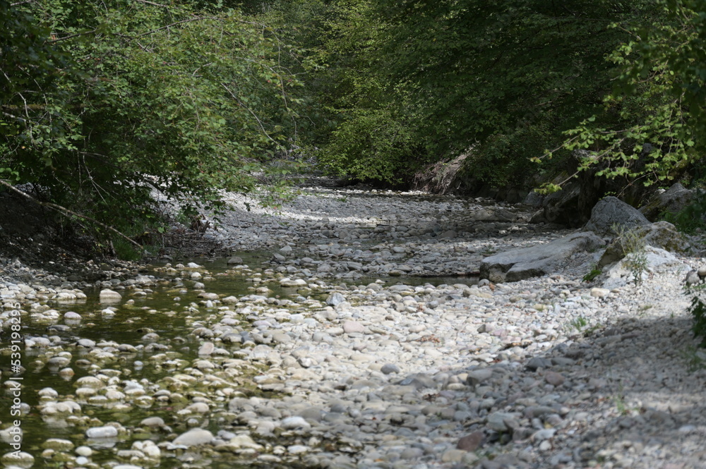 Berner Gewässer, Flüsse, Rotache, Trockenheit, Wassermangel