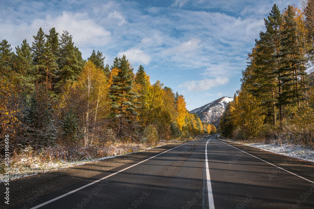 road asphalt mountains trees snow autumn