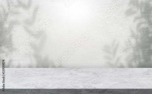Empty cement wall room with shadows leaves background and concrete rough floor well editing montage display products advertising and text present on free space backdrop