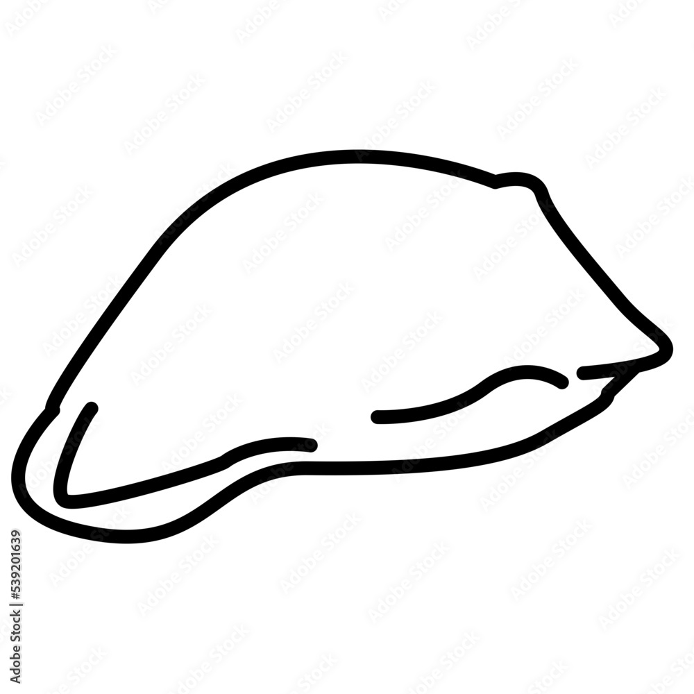pillow icon pillow icon
