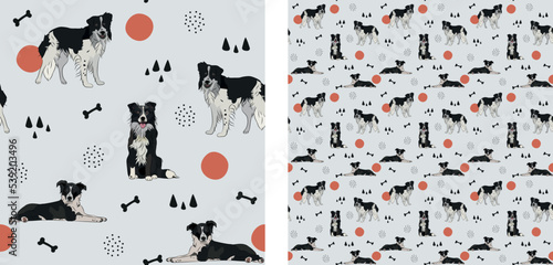 Seamless dog pattern, winter Christmas texture. Square format, t-shirt, poster, packaging, textile, socks, textile, fabric, decoration, wrapping paper. Trendy hand-drawn Border Collie dog breed.