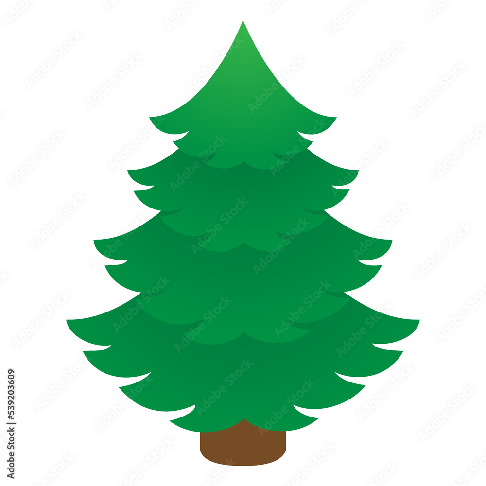 Vector illustration on a white background. Green spruce. Vector illustration on a white background. Green spruce.