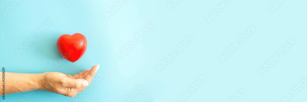 female hand heart on a blue background, banner, right copyspace. Women's health is under protection, a woman's love. Heart research medical. Cardiology practice.