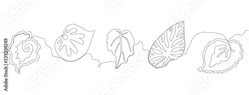 Begonia leaves. Art line ecology print. Sketch nature border. Simple leaves border