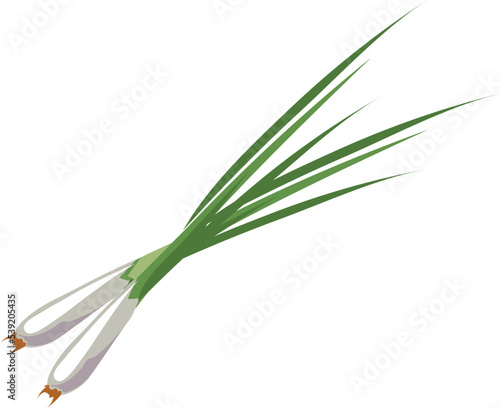 Spring onion cartoon icon. Natural green vegetable