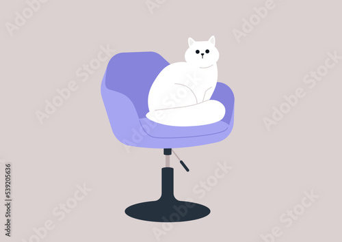 A fluffy white cat sitting in a chair