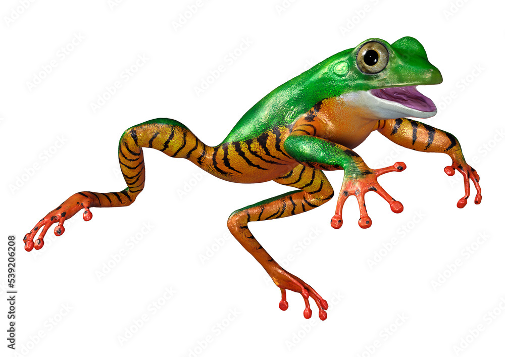 3D Rendering Amazon Tree Frog on White 3D Rendering Amazon Tree Frog on White