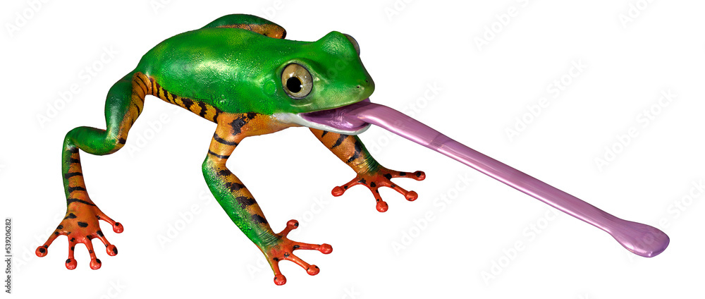 Obraz premium 3D Rendering Amazon Tree Frog on White