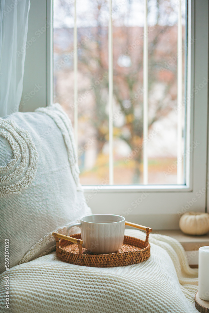 Cup of hot cocoa on a wicker rattan tray near the window, a plaid, a pillow, pumpkins. Cozy. Eco decor for home. Autumn mood. Cup of hot cocoa on a wicker rattan tray near the window, a plaid, a pillow, pumpkins. Cozy. Eco decor for home. Autumn mood.