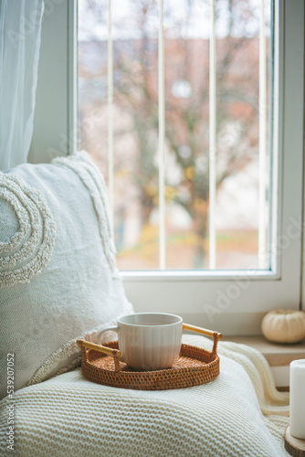 Cup of hot cocoa on a wicker rattan tray near the window, a plaid, a pillow, pumpkins. Cozy. Eco decor for home. Autumn mood.