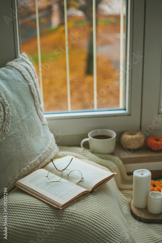 Cup of hot cocoa on a wicker rattan tray near the window, a plaid, a pillow, pumpkins. Cozy. Eco decor for home. Autumn mood. © Kristina89