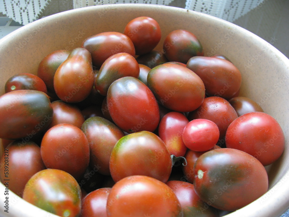 Red and brown tomatoes. Tomatoes in a plastic bowl. A bowl of tomatoes is on the table. Red and brown tomatoes. Tomatoes in a plastic bowl. A bowl of tomatoes is on the table.