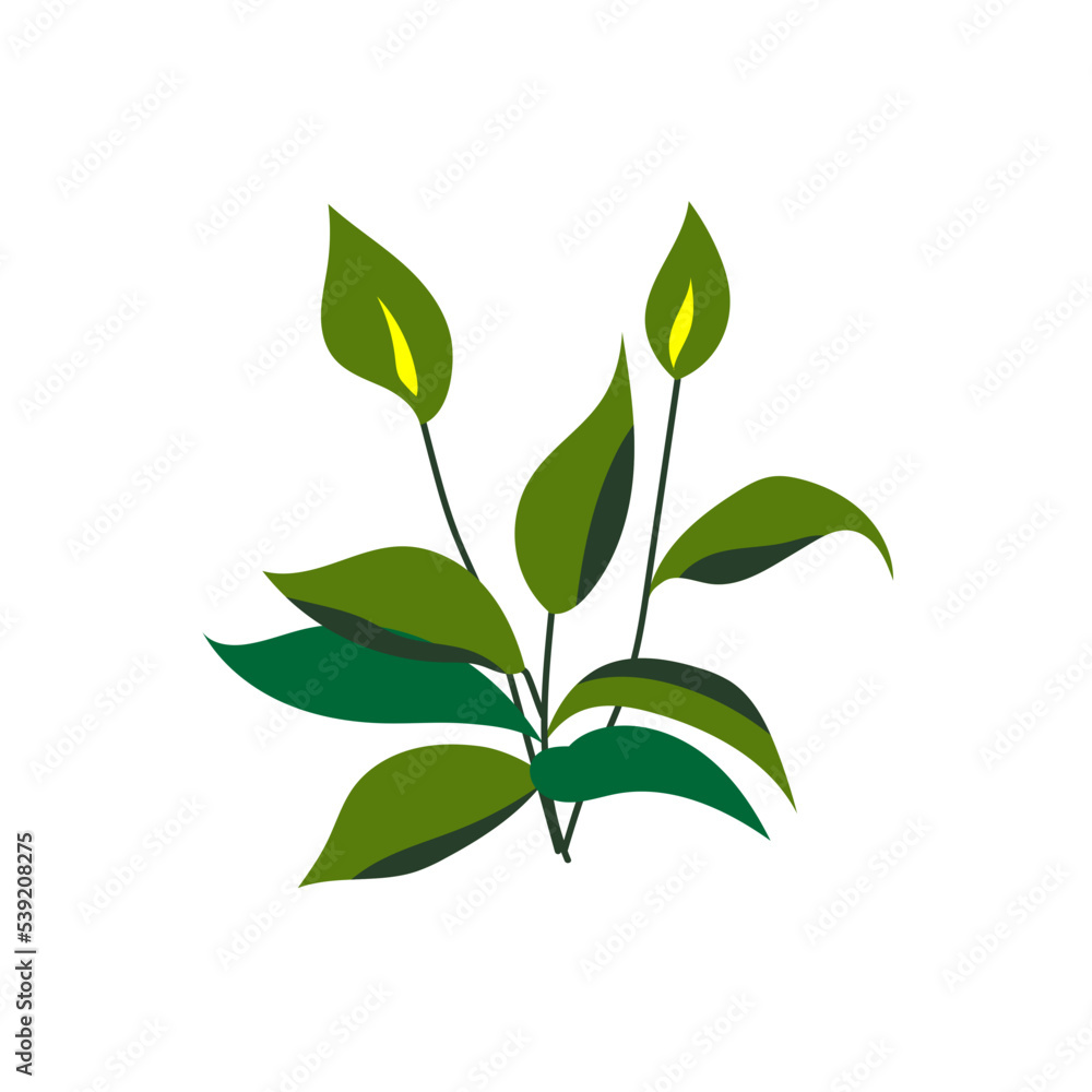 Fototapeta premium green tropical leaf illustration