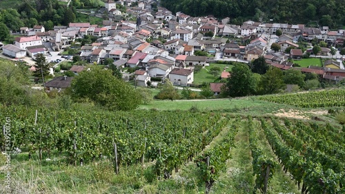 French village dominated by vineyards