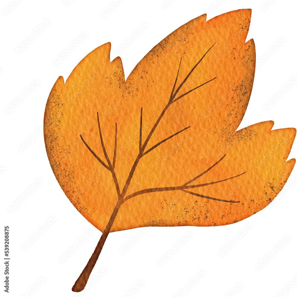 Obraz premium Fall Dry Leaf Illsutration Watercolor