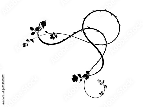 elegant element for ornament roses thorns corner