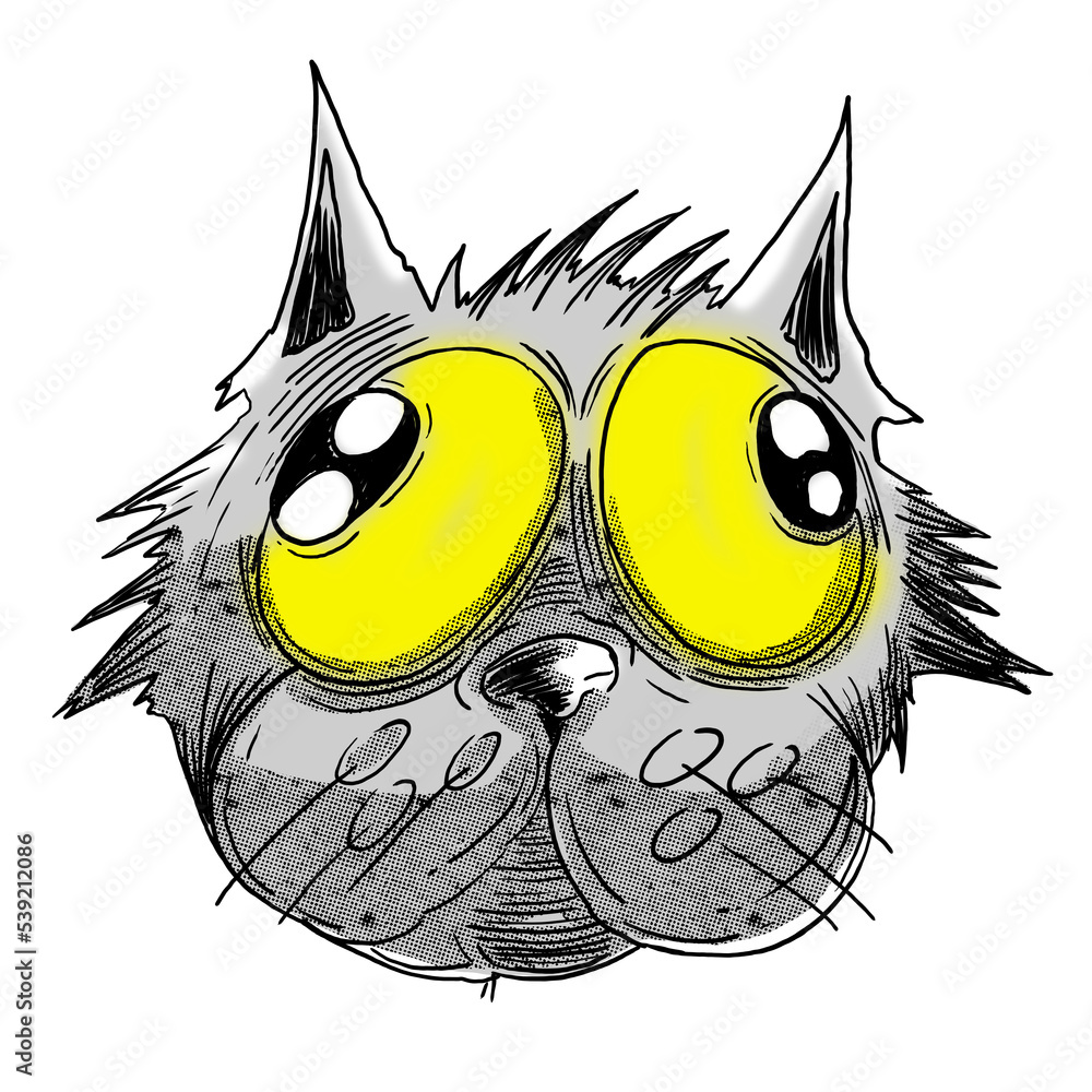 Fototapeta premium Dumb cat!