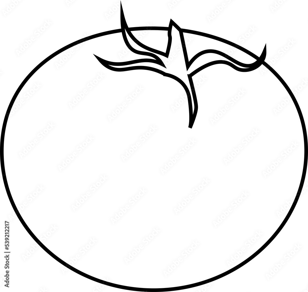 tomato design illustration isolated on transparent background tomato design illustration isolated on transparent background