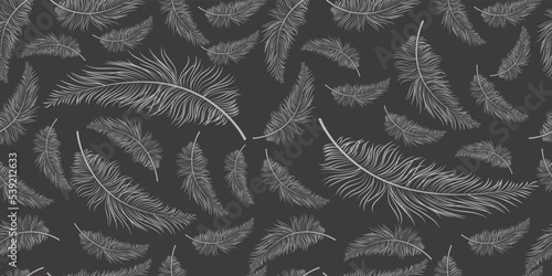 Bird Feather Hand Drawn Seamless Pattern Background Illustration