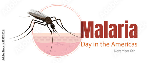 Malaria Day in the Americas. Illustration of the mosquito biting on the skin, on white background.