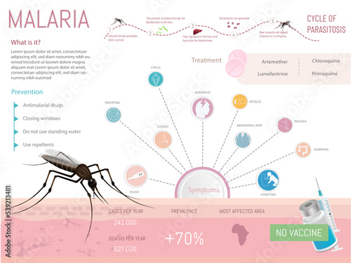 Infographic about Malaria, what it is, prevention, symptoms and treatment, with icons defining each option