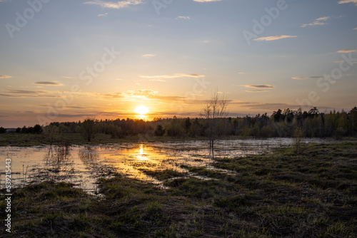 Wetland area. evening landscape  sunset over the swamp. Early spring.