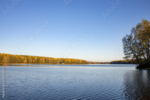 Autumn landscape by the river. The evening sun illuminates the yellow trees near the pond. The blue sky is reflected in the water. © Sergei