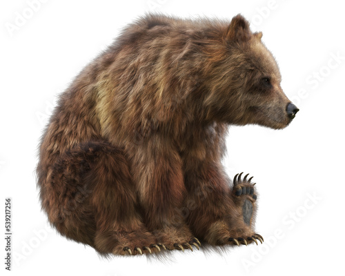 Foto Large brown bear transparent PNG overlay. 3d rendering