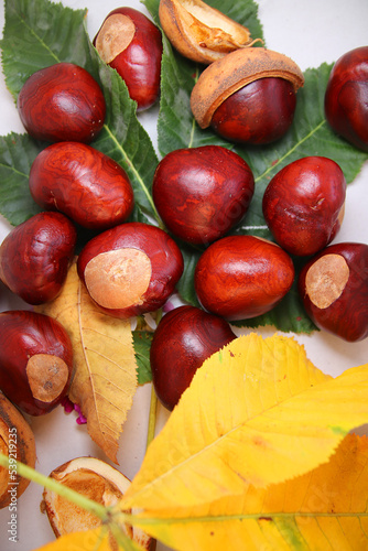 Autumn, leaves and chestnuts for your background or ooo