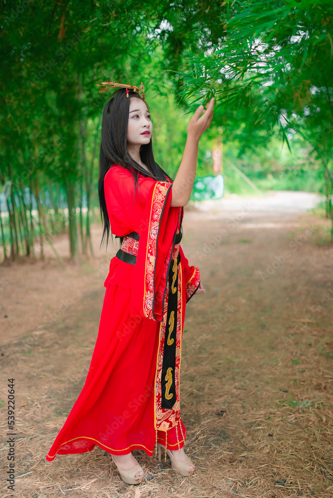 Portrait of beautiful asian woman wear ancient chinese dress style at the bamboo forest,Thailand people,Chinese movie scene Portrait of beautiful asian woman wear ancient chinese dress style at the bamboo forest,Thailand people,Chinese movie scene