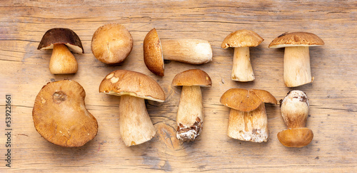 a boletus porcini mushrooms on a wooden table top view close-up
