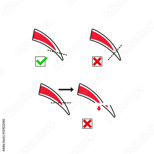 Instructions for cutting claws in animals. Simple flat vector illustration on a white background