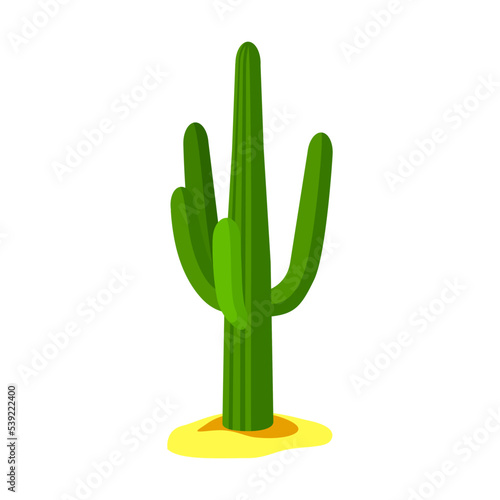Cartoon Mexican traditional symbol. Flat vector illustration. Colorful of cactus. Culture, travel, Mexica concept
