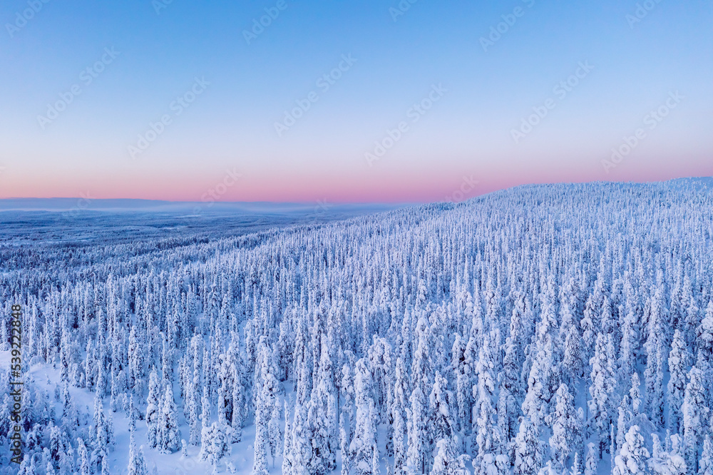sunrise in the lapland