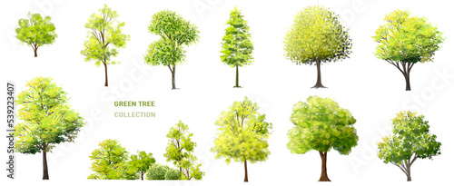 watercolor set of tree side view isolated on white background for landscape  and architecture drawing  elements for environment and garden  painting botanical for section and elevation 