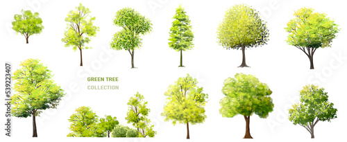watercolor set of tree side view isolated on white background for landscape  and architecture drawing, elements for environment and garden, painting botanical for section and elevation 