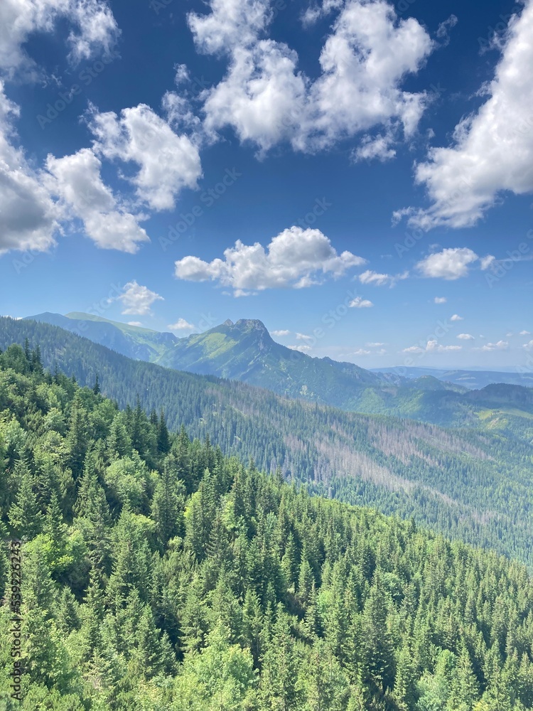 Fototapeta premium Sunny summer hiking path in the mountains. Rocky Mountain in the summer with trees and forest. Walking in the mountains and forest with blue sky. Summer travel hiking in Europe. 