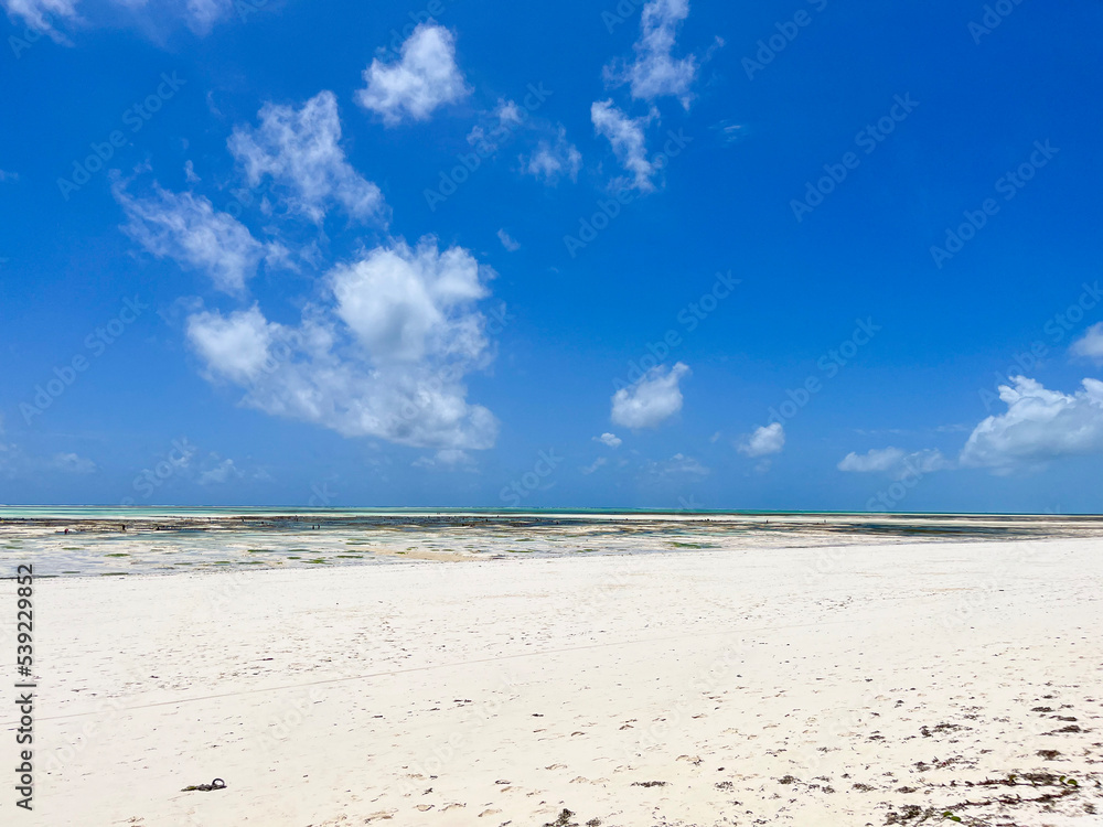 Obraz premium beach and blue sky