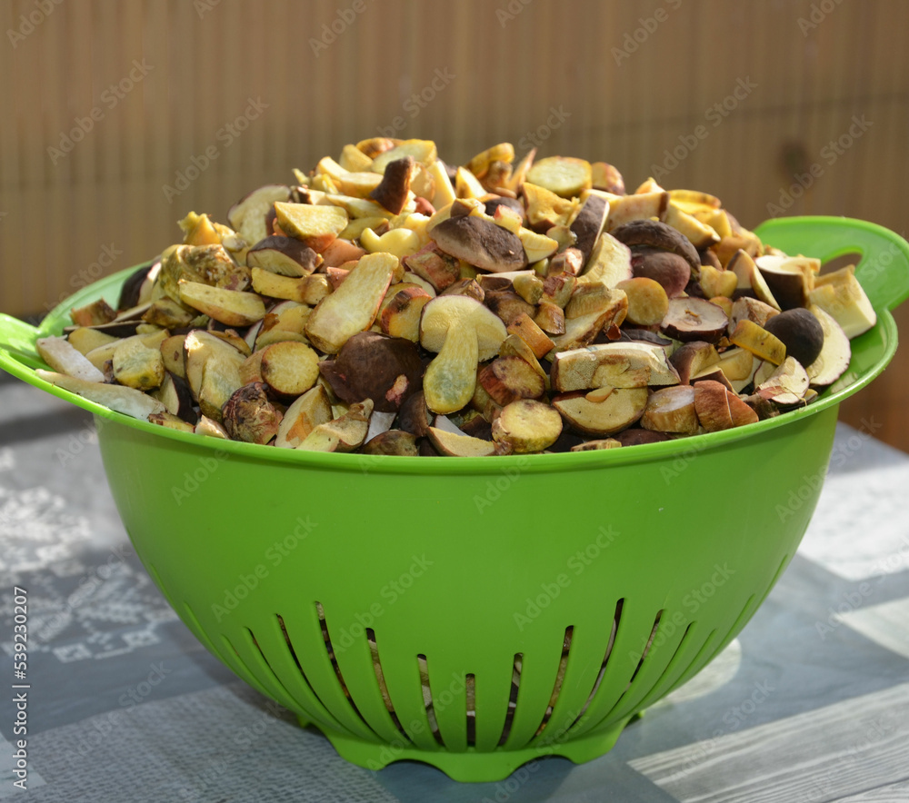Waldpilze küchenfertig Waldpilze küchenfertig