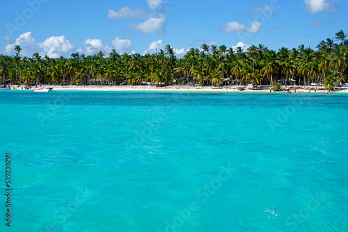 Fototapeta Naklejka Na Ścianę i Meble -  tropical island saona in the dominican republic