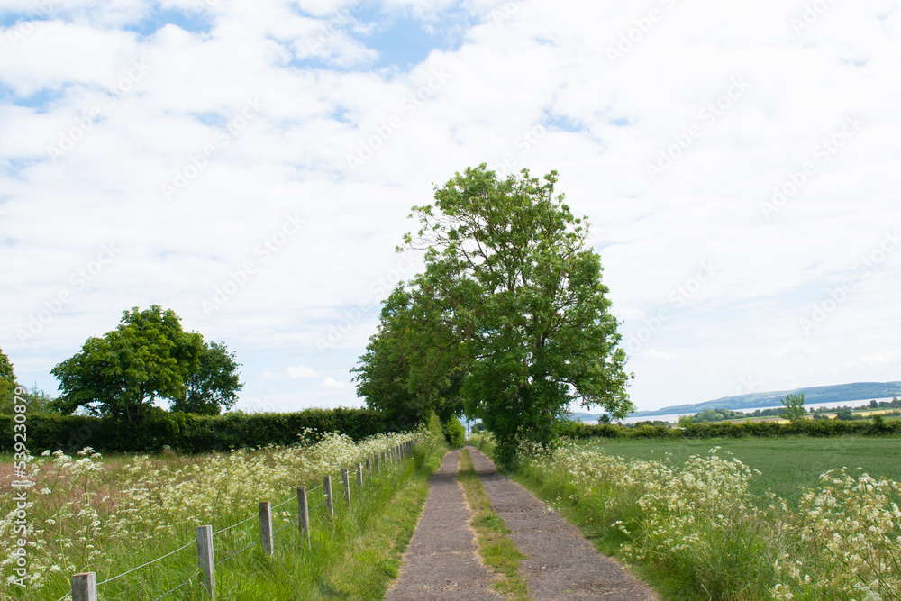 Leading lines, a pathway in the countryside. Aligned in the centre.