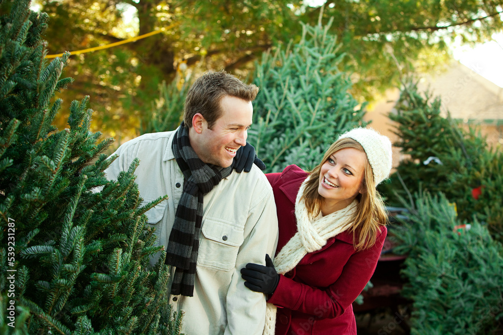 Tree Lot: Man and Woman Find A Nice Tree Tree Lot: Man and Woman Find A Nice Tree